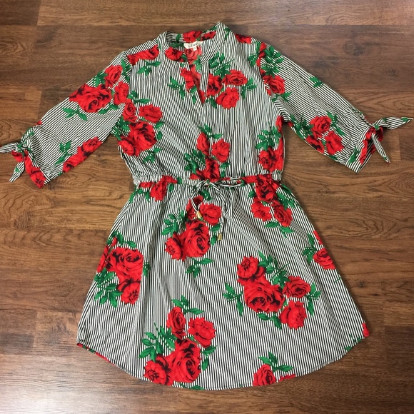 Blush Dresses & Skirts - Rose Striped Dress